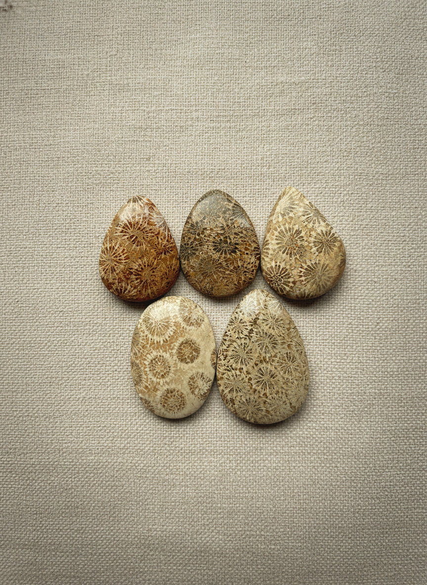 Fossil Agate from Indonesia, hand-graded by The Stone Atlas, lot XA69