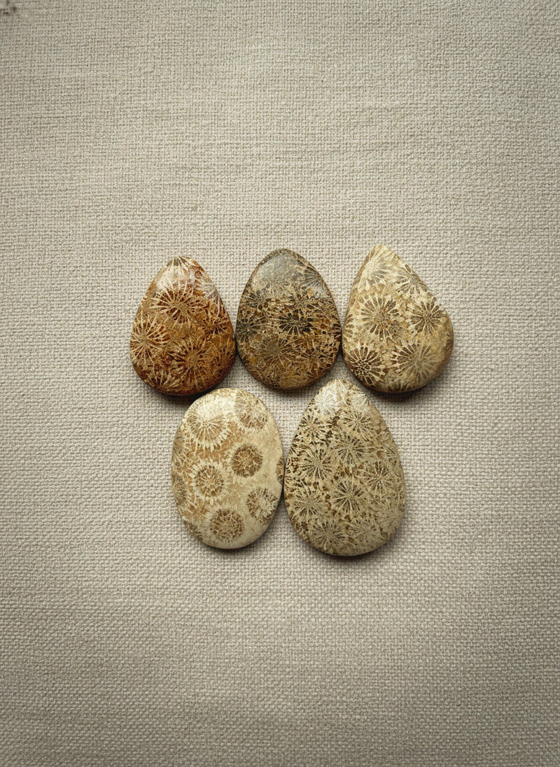 Fossil Agate from Indonesia, hand-graded by The Stone Atlas, lot XA69