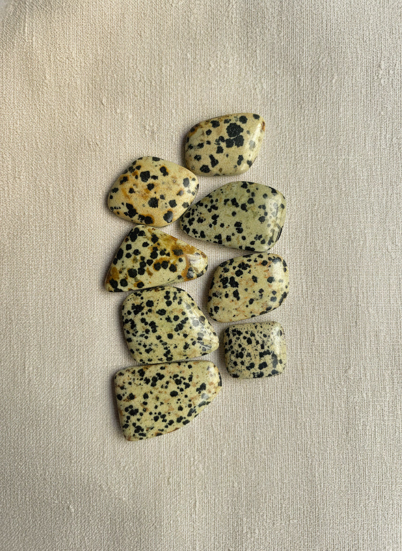 Dalmatian Jasper from USA, hand-graded by The Stone Atlas, lot XA83
